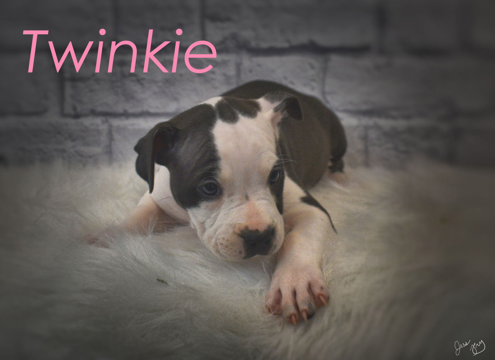 Twinkie